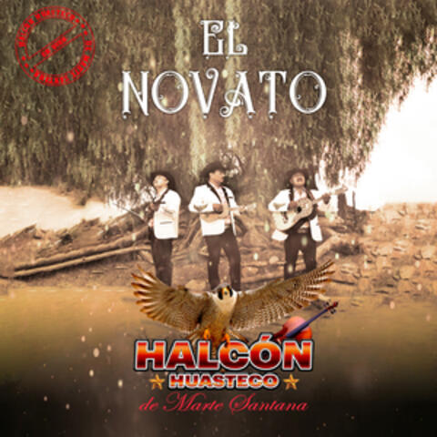 El Novato