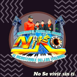 No Sé Vivir Sin Ti