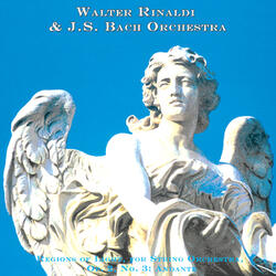 Regions of Light, for String Orchestra, Op. 2, No. 3: Andante