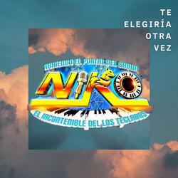 Te Elegiría Otra Vez