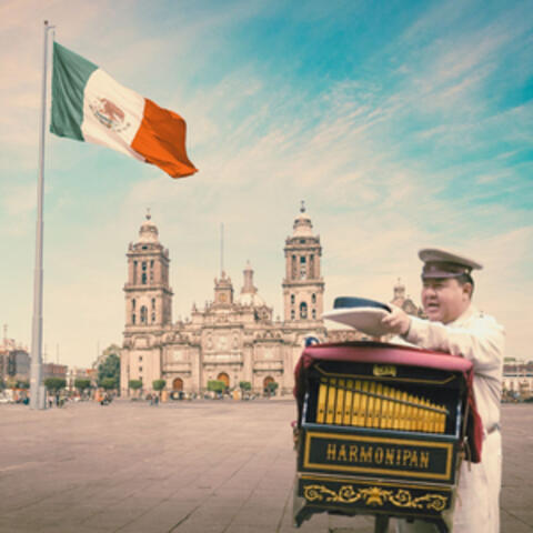Organillero, Ciudad de México