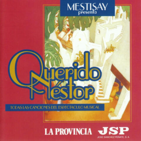 Mestisay