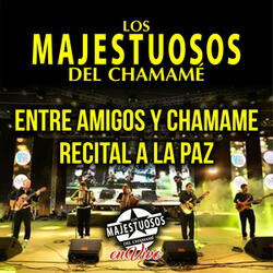 Entre Amigos y Chamamé / Recital a la Paz