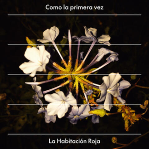 Como La Primera Vez