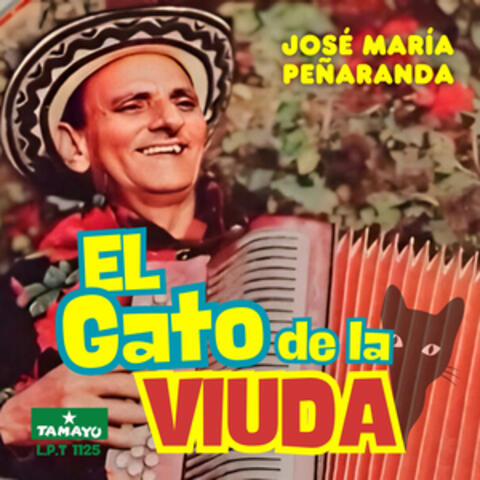 El Gato De La Viuda