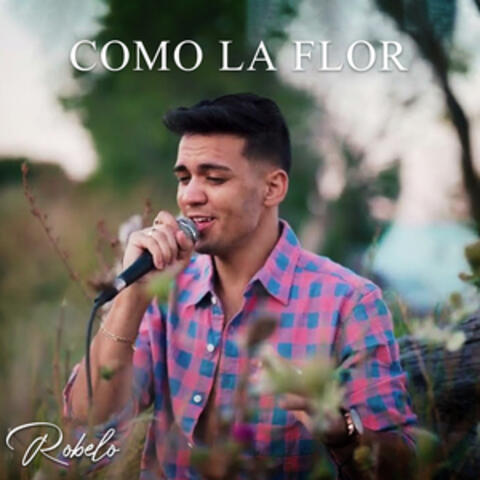 Como la Flor