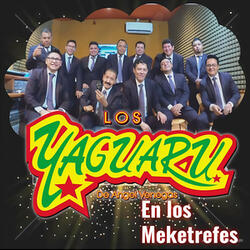 Si Tú Me Dejas