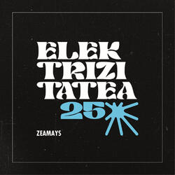 Elektrizitatea 25