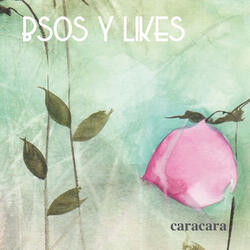 Bsos y likes