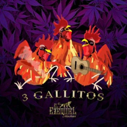 Tres Gallitos