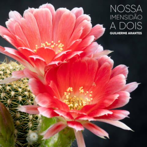 Nossa Imensidão a Dois