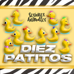 Sesiones Animales: Diez Patitos