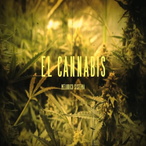 El Cannabis