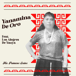 Te Vi Llorar / Amiga No Me Critiques / Te Ame Con Locura