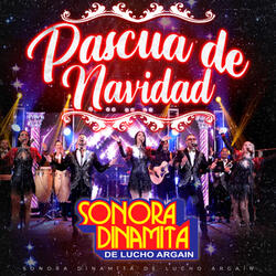Pascua De Navidad