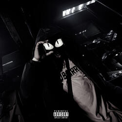 KOALA FREESTYLE - PANDA