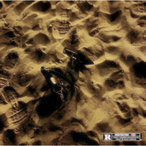 ESTRANEI