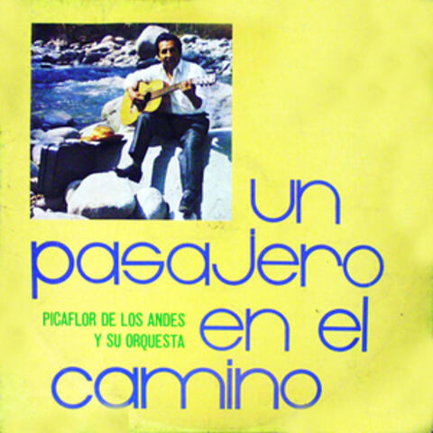 Un Pasajero en el Camino
