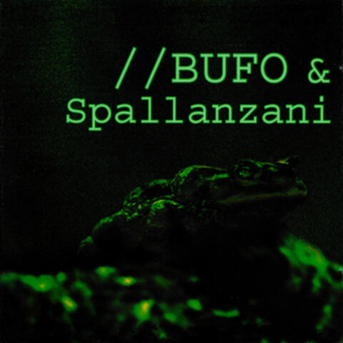 Bufo & Spallanzani