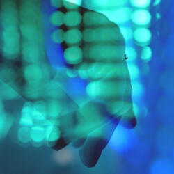 Lo que sueña de noche  (Zorongo Gitano)