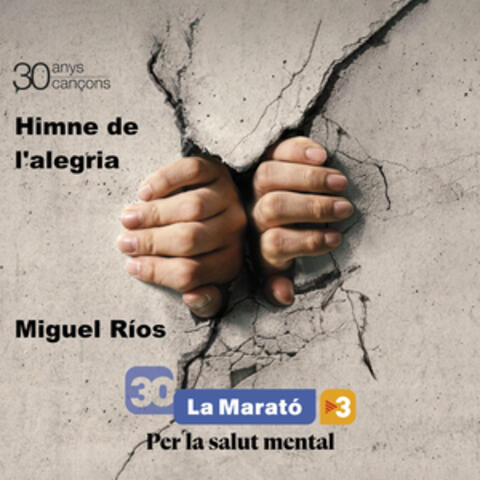 Himne De l'Alegria