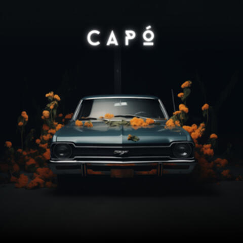 Capó