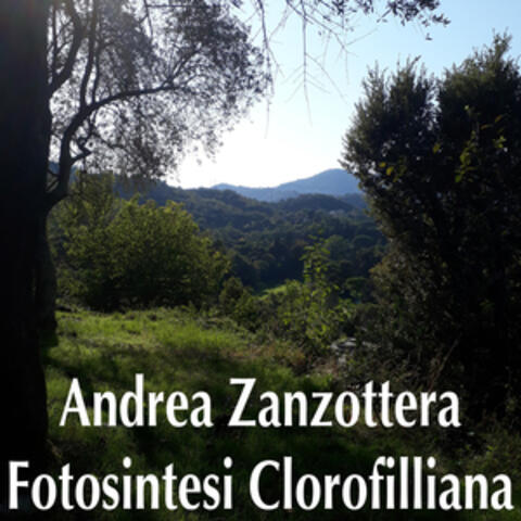 Fotosintesi Clorofilliana