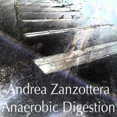 Anaerobic Digestion