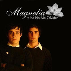 Matando memorias