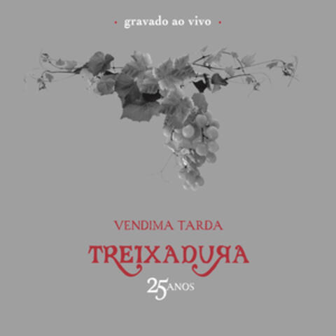 Vendima Tarda