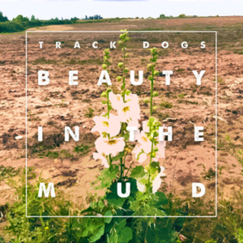Beauty In The Mud