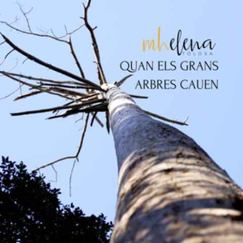 Quan els grans arbres cauen