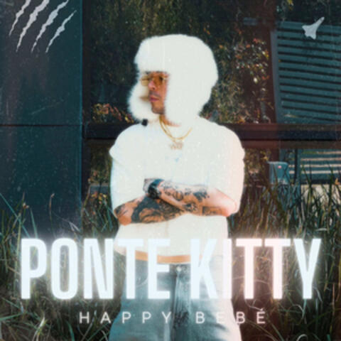Ponte Kitty