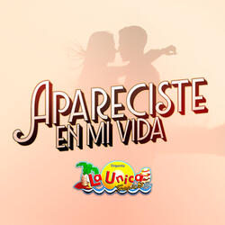 Apareciste en mi vida