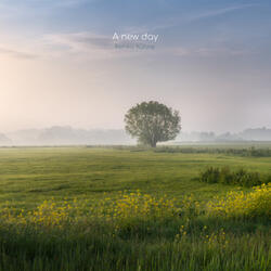 A new day