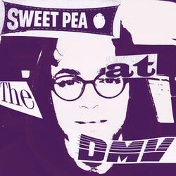 Sweet Pea at the DMV