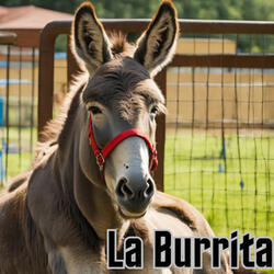 LA BURRITA