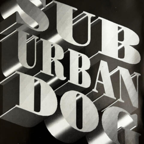 Suburban Dog