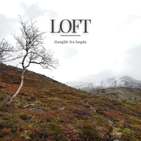 Ganglåt fra høgda