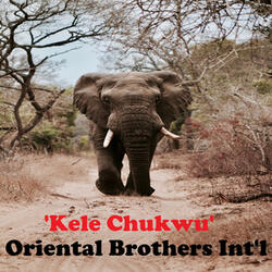 Kele Chukwu