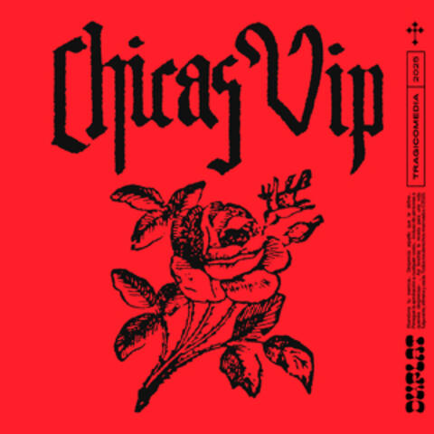 Chicas VIP