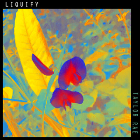 Liquify