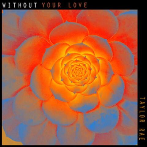 Without Your Love
