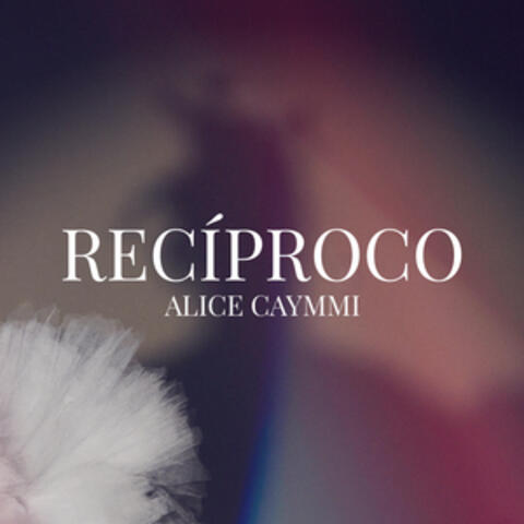 Recíproco