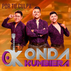 Por Tu Culpa