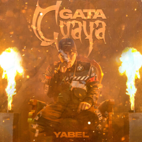Gata Guaya