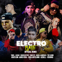 Electroflaite