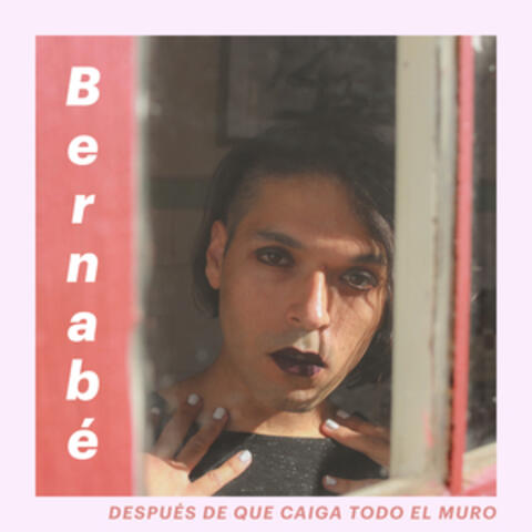 Después De Que Caiga Todo El Muro