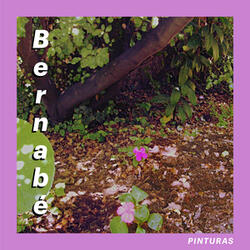 El Cantor Que Se Enloquece