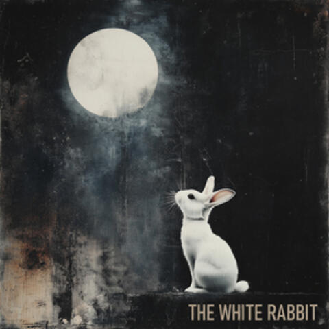 The White Rabbit